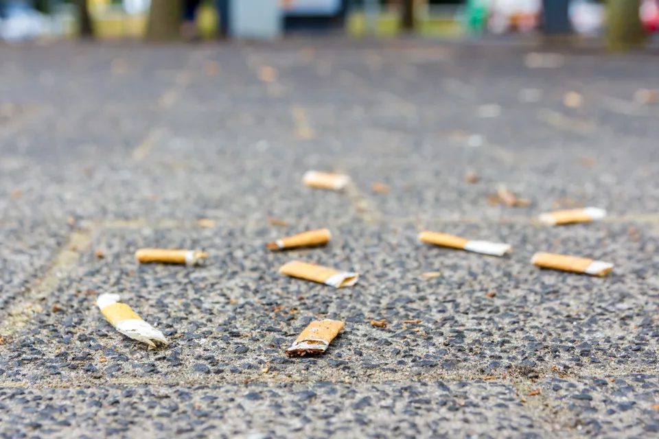 Flattened cigarette butts littering a sidewalk